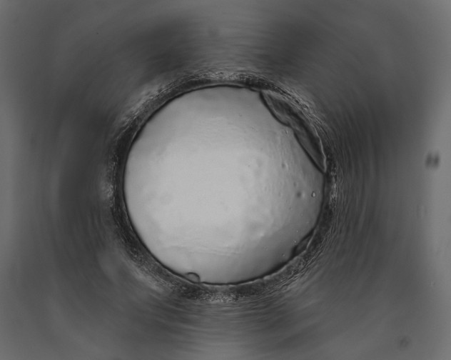 X0000090460687200708031242