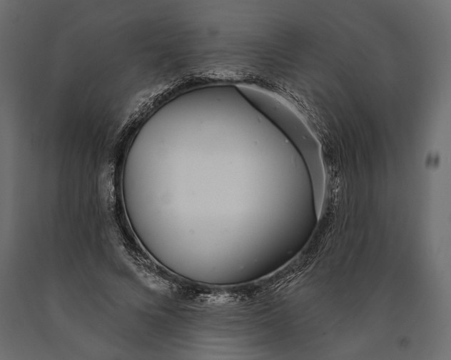 X0000090460688200708031242