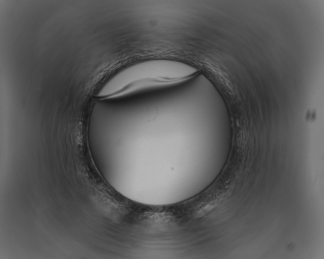 X0000090460689200708031242