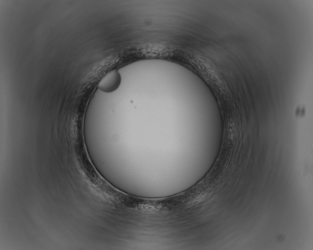 X0000090460690200708031242