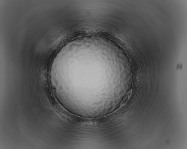 X0000090460691200708031242