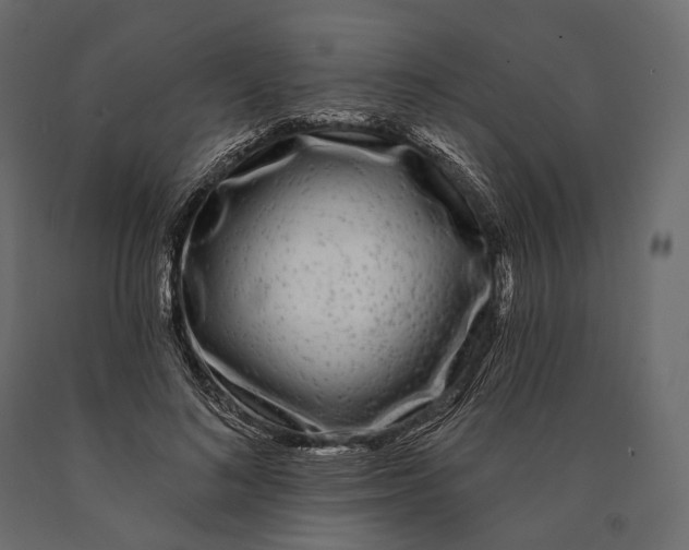 X0000090460692200708031242
