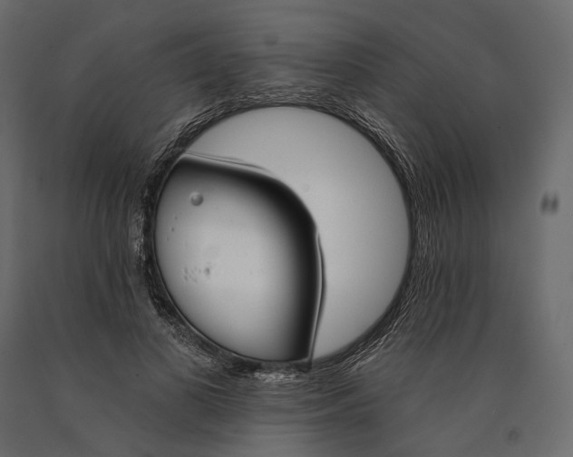 X0000090460693200708031242