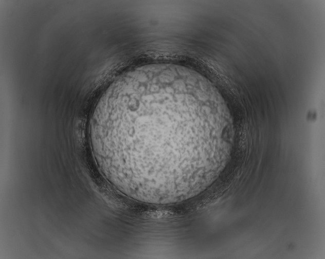 X0000090460695200708031242