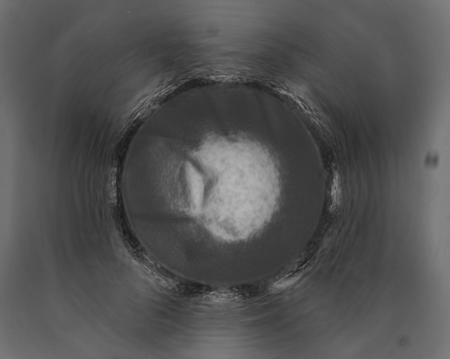 X0000090460696200708031242