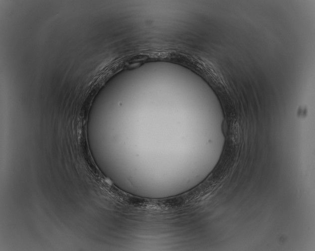 X0000090460697200708031242