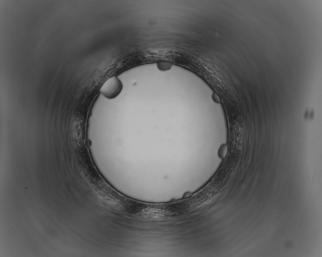 X0000090460699200708031242