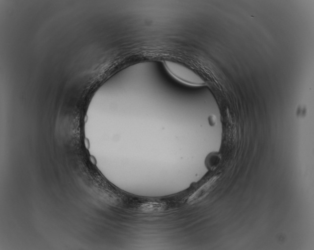 X0000090460700200708031242