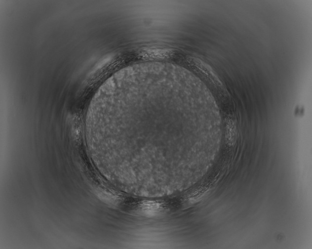 X0000090460701200708031242