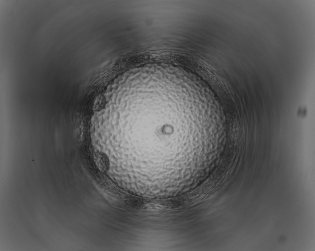 X0000090460703200708031241