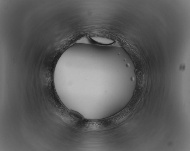 X0000090460704200708031241