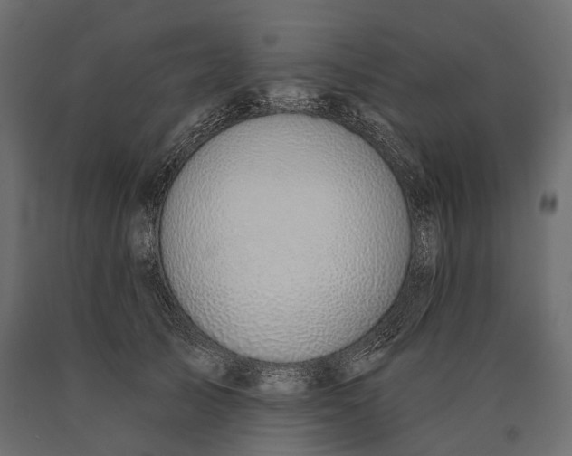 X0000090460705200708031241