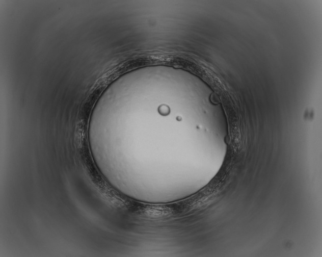 X0000090460707200708031241