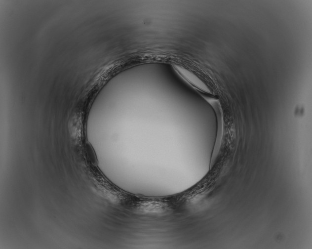 X0000090460708200708031241