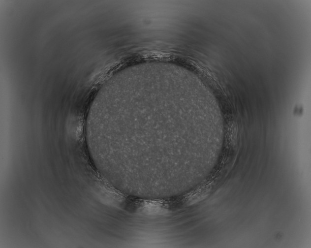 X0000090460709200708031241