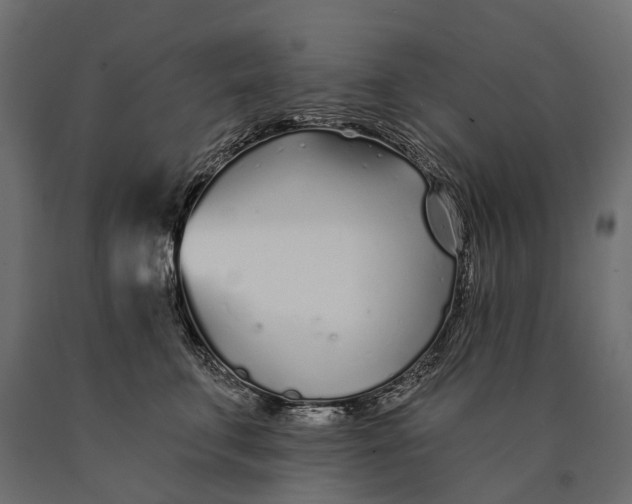 X0000090460711200708031241