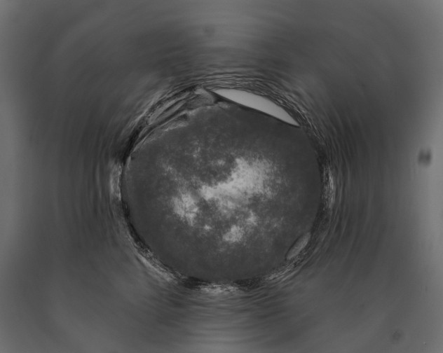 X0000090460712200708031241