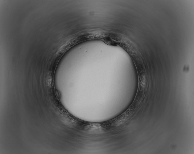 X0000090460715200708031241