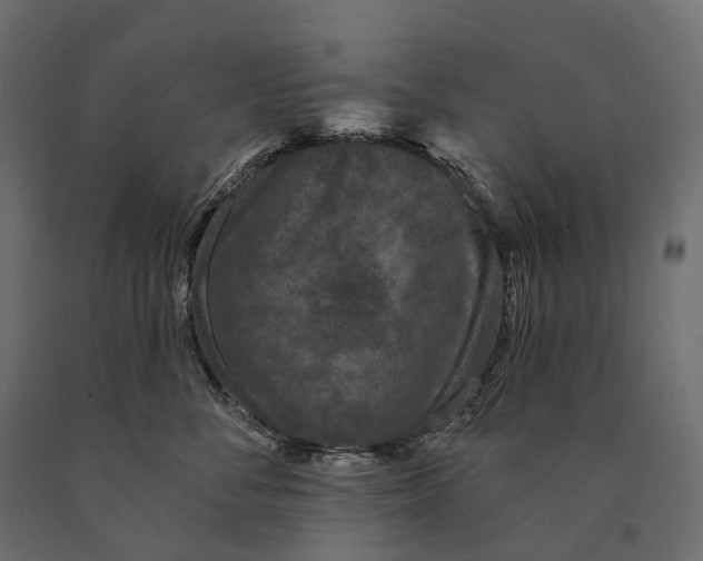 X0000090460716200708031241