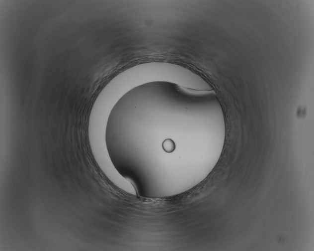 X0000090460720200708031241