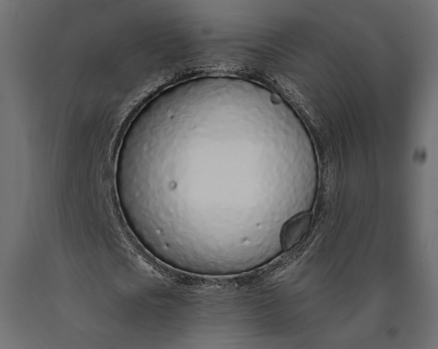 X0000090460721200708031241