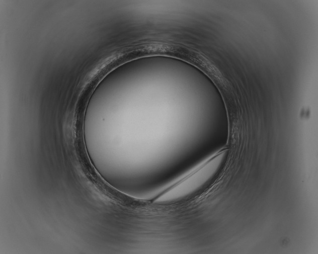 X0000090460722200708031241