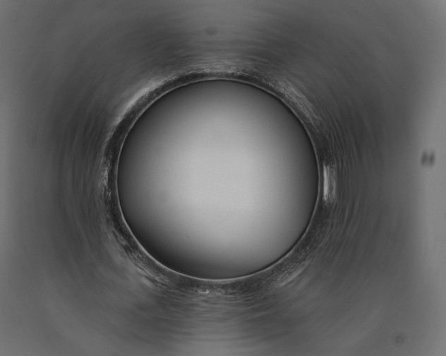 X0000090460723200708031241