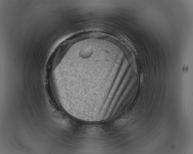X0000090460724200708031241