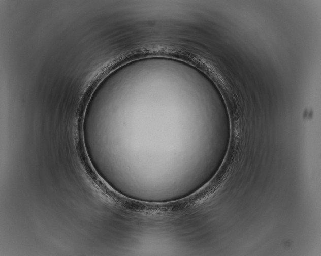 X0000090460725200708031241