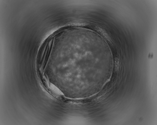 X0000090460726200708031241