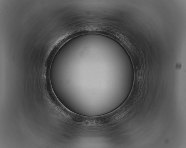 X0000090460727200708031241