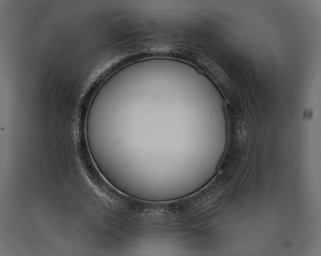 X0000090460728200708031241