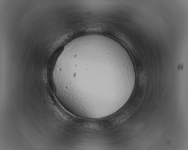 X0000090460729200708031241