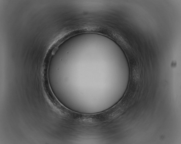 X0000090460730200708031241