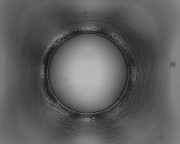X0000090460731200708031241
