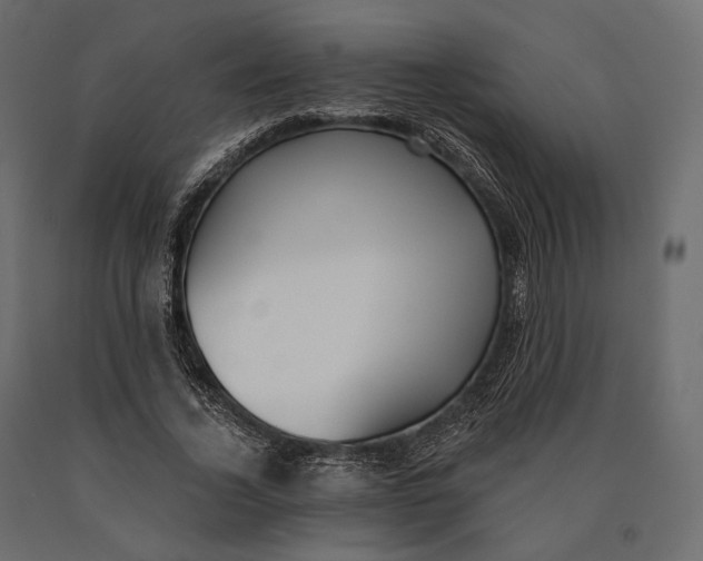 X0000090460732200708031241