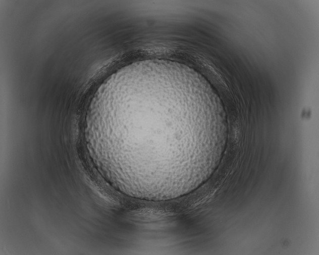 X0000090460733200708031241