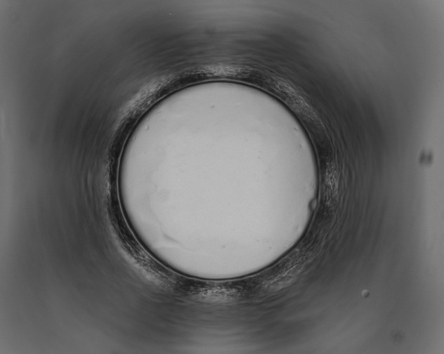 X0000090460734200708031241