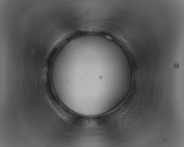 X0000090460735200708031241