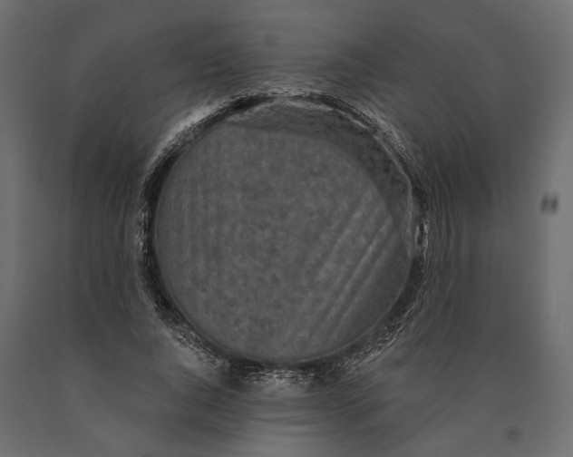 X0000090460736200708031241