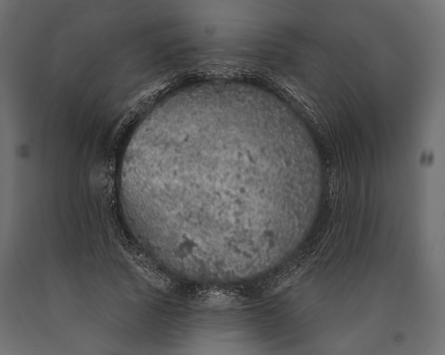 X0000090460737200708031241