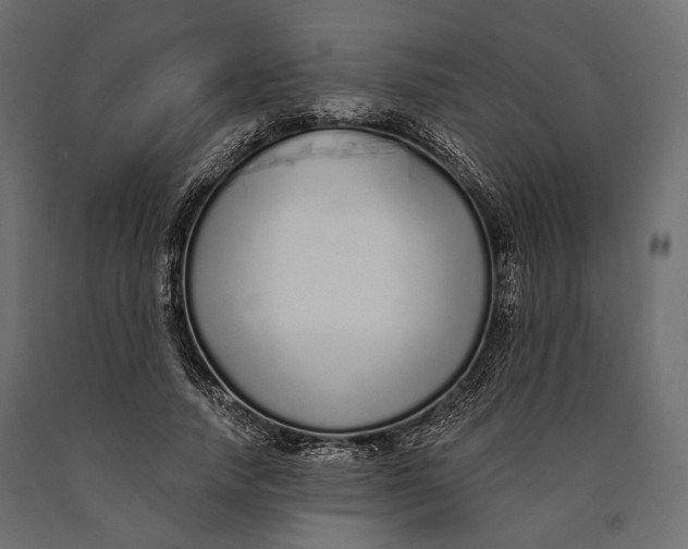 X0000090460738200708031241