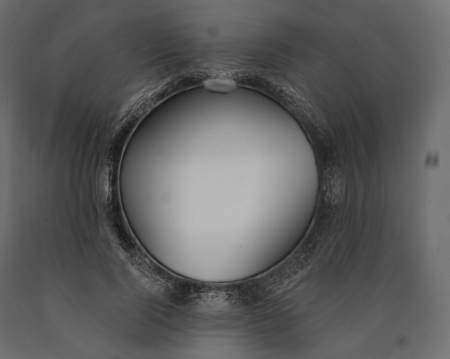 X0000090460740200708031241