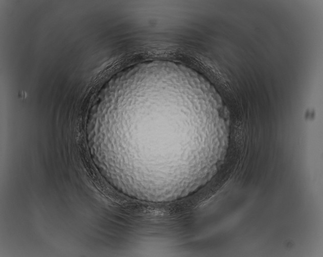 X0000090460741200708031241