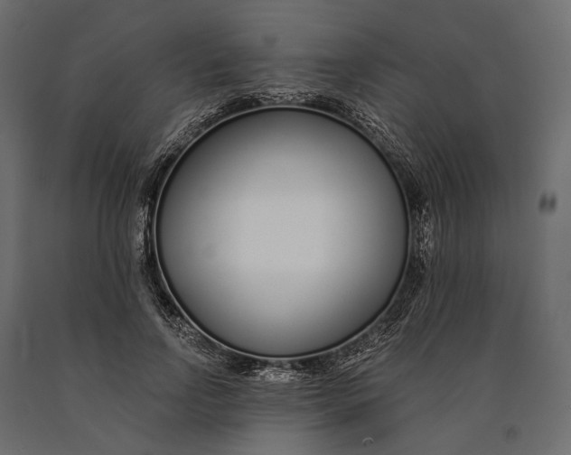 X0000090460742200708031241