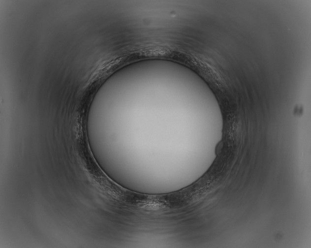 X0000090460743200708031241