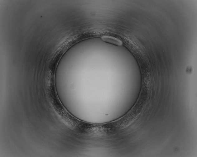 X0000090460744200708031241