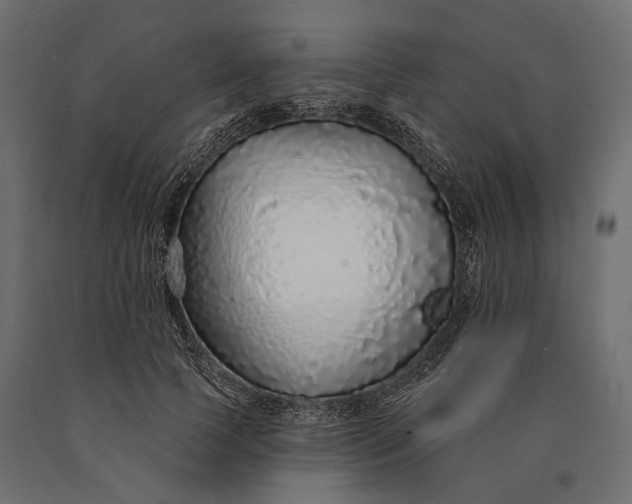 X0000090460745200708031241