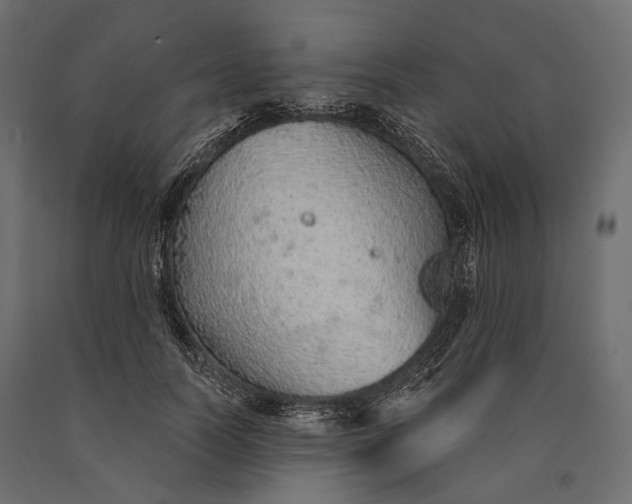 X0000090460746200708031241