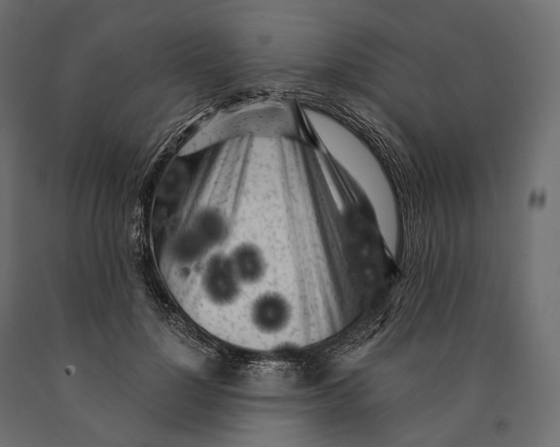 X0000090460748200708031241